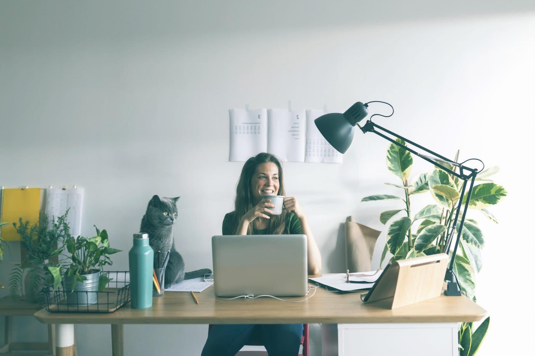 Modernes Lernumfeld für Finanzanalyse-Kurse